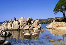 摩纳哥遭遇连败，主帅布拉格姆遭到批评